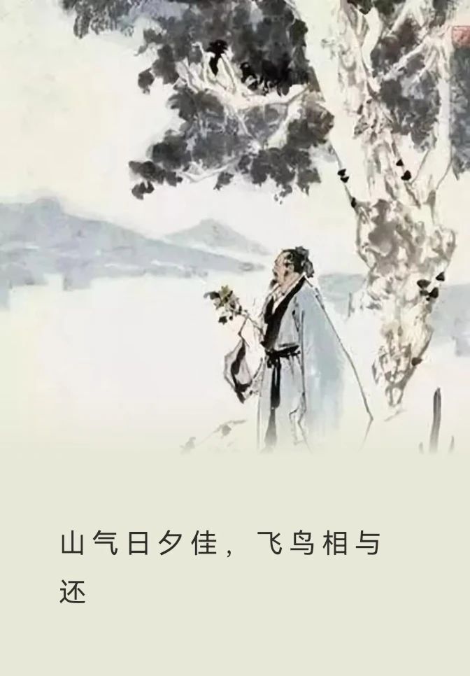陶渊明·采菊东篱下,悠然见南山