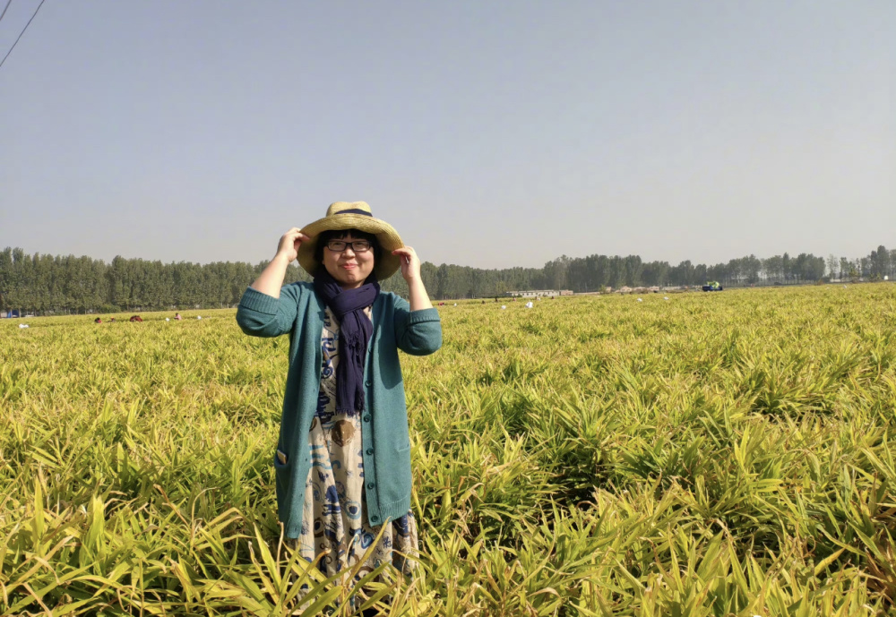 新晋茅奖作家乔叶:作品自有命运丨面孔_腾讯新闻