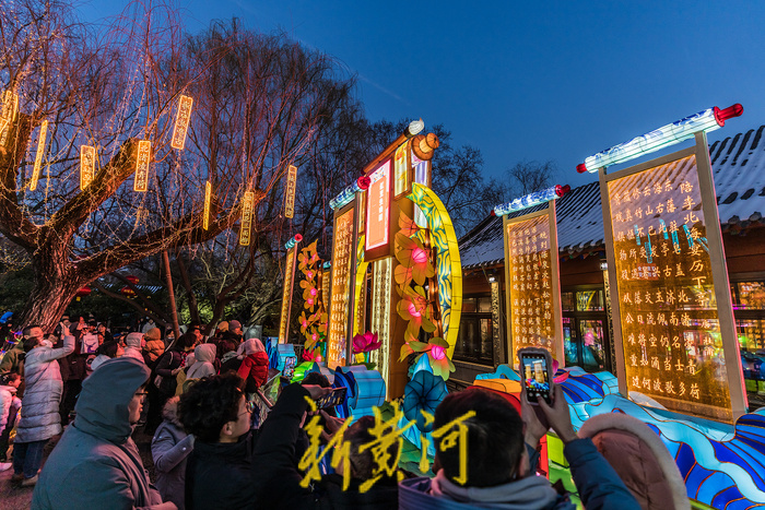 璀璨元宵夜 趵突泉迎春花灯会引领赏灯热潮