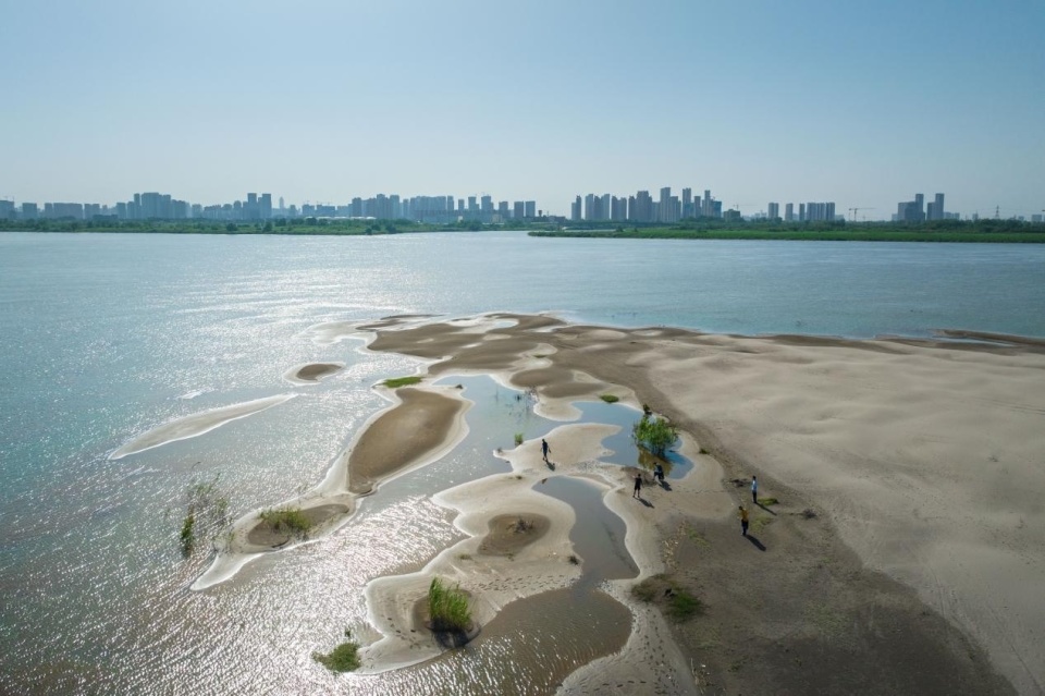 很多人不知道武汉天兴洲会动