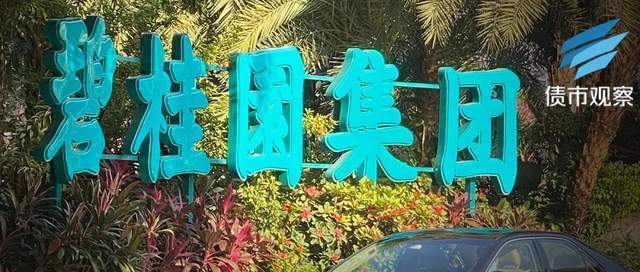 碧桂园百亿股权遭冻结！最新回应来了-叭楼楼市分享网