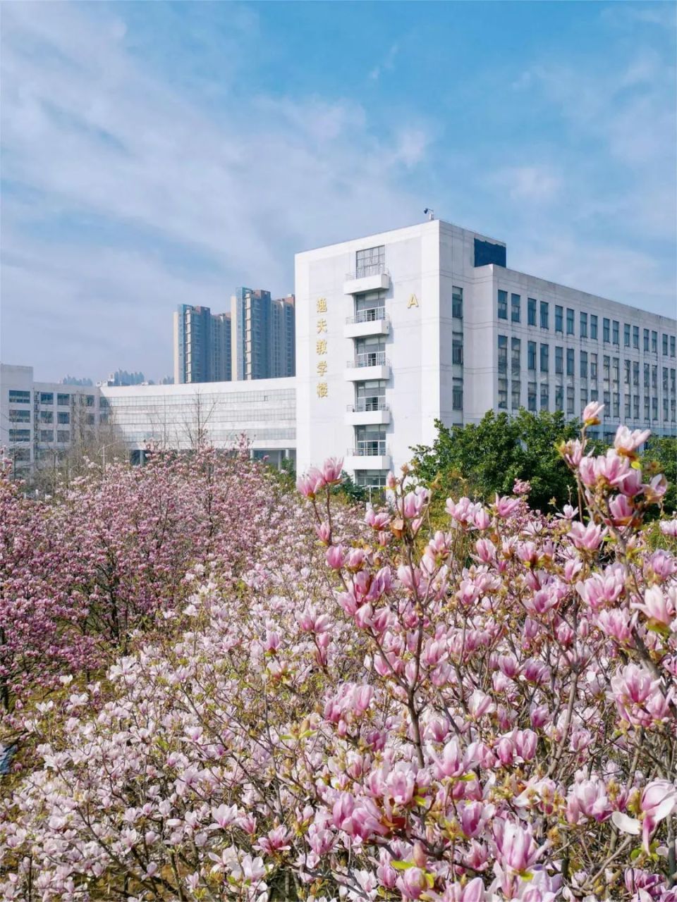 绝美华科大,上新!