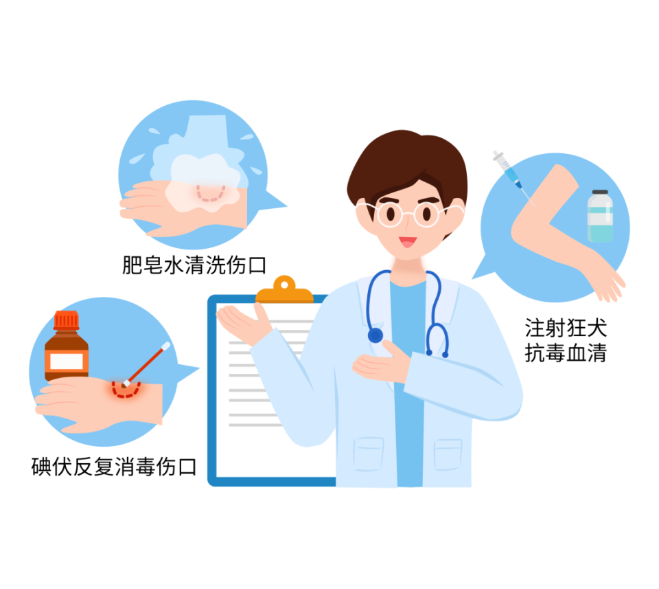 预防处置狂犬病 疾控为您巧支招-腾讯新闻