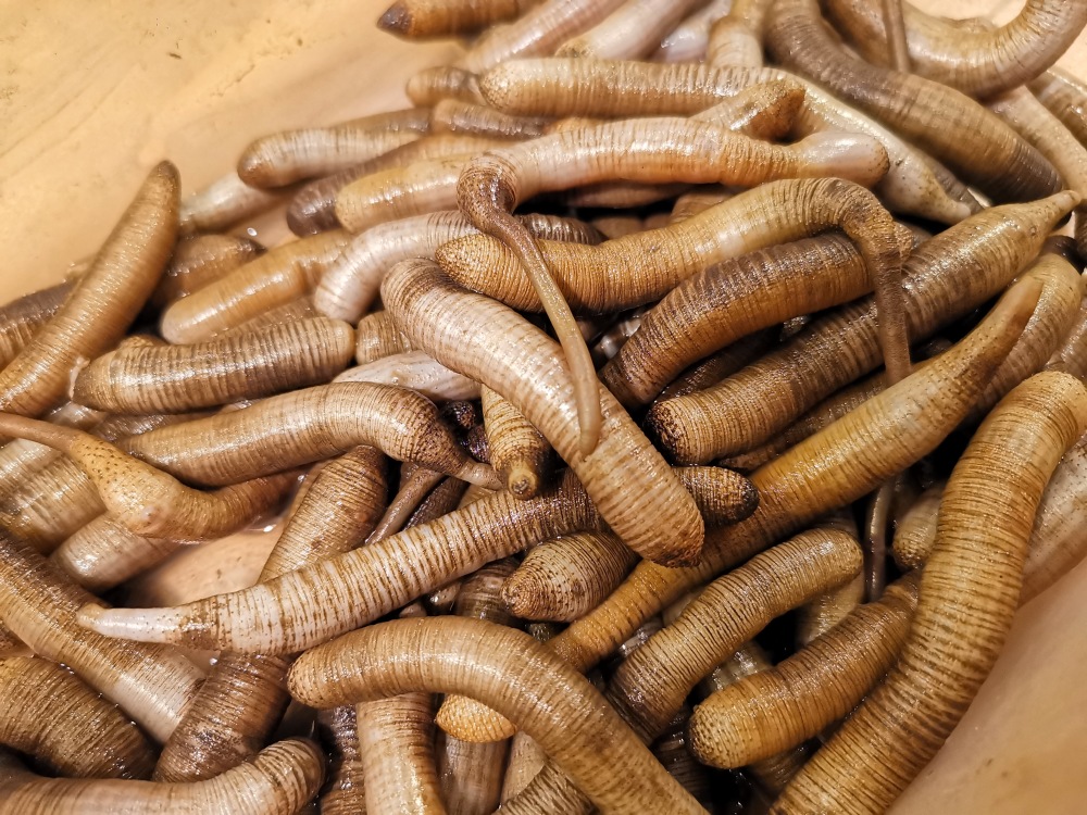 闽南小吃土笋冻,外地人瞧半天不知道是个啥