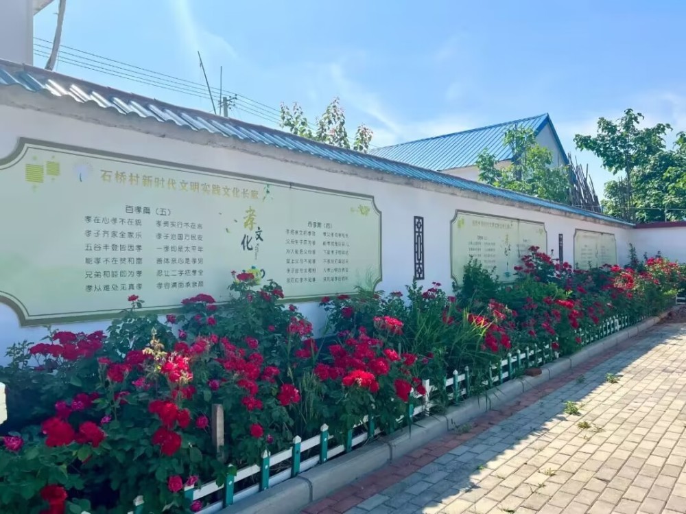 青州市谭坊镇文明新风入民心宜居乡村展新颜