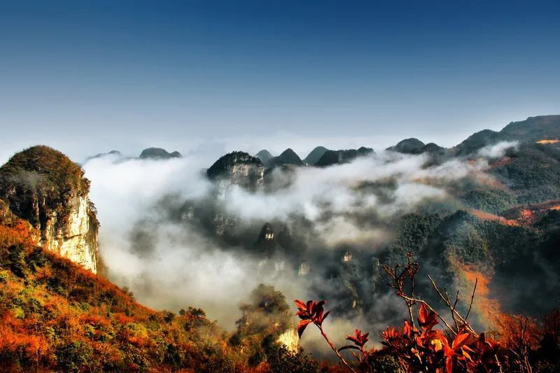 油杉河位于大方县东北部,地处低纬度高海拔地区,冬暖夏凉,雨雾日多