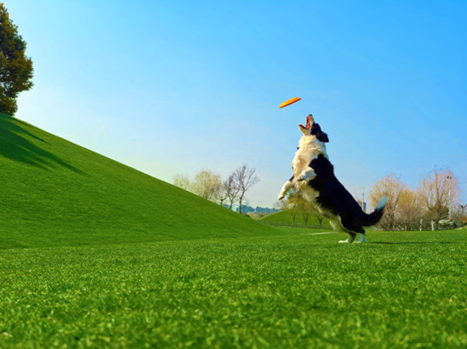 641