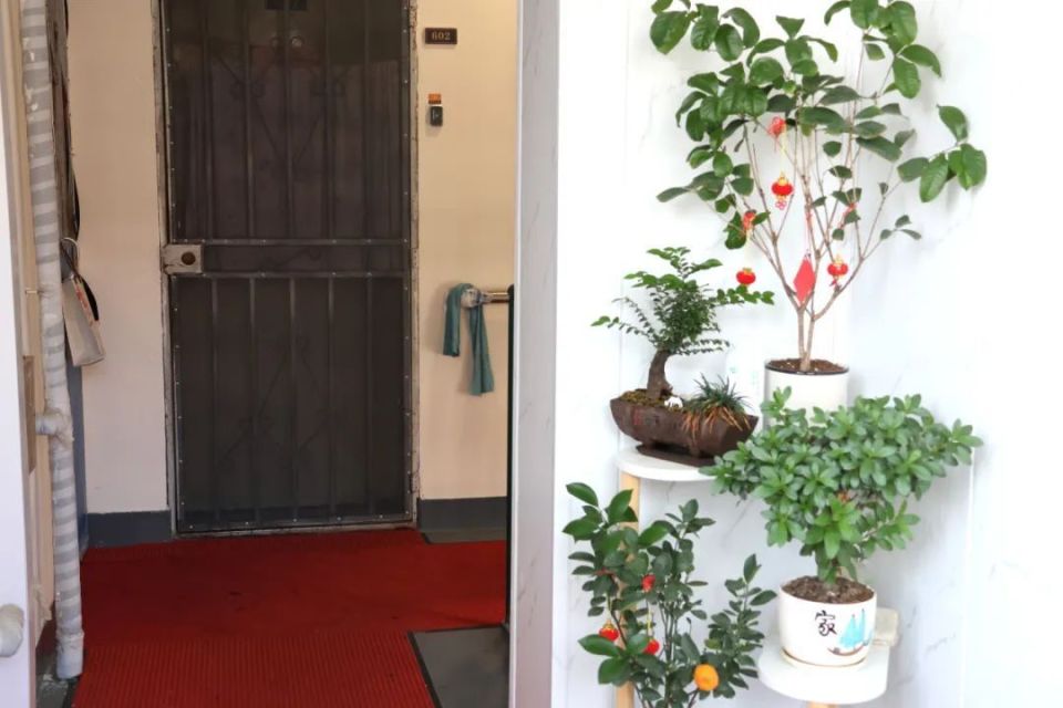 按下楼道"美颜键"!桃浦"加梯楼"居民幸福感叠加