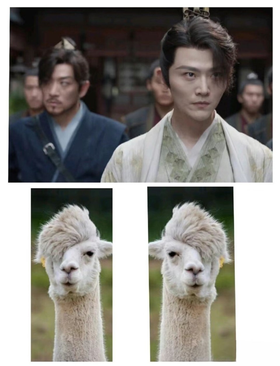 还有一个细节,不要看他整天光脚,似乎是个不怎么讲