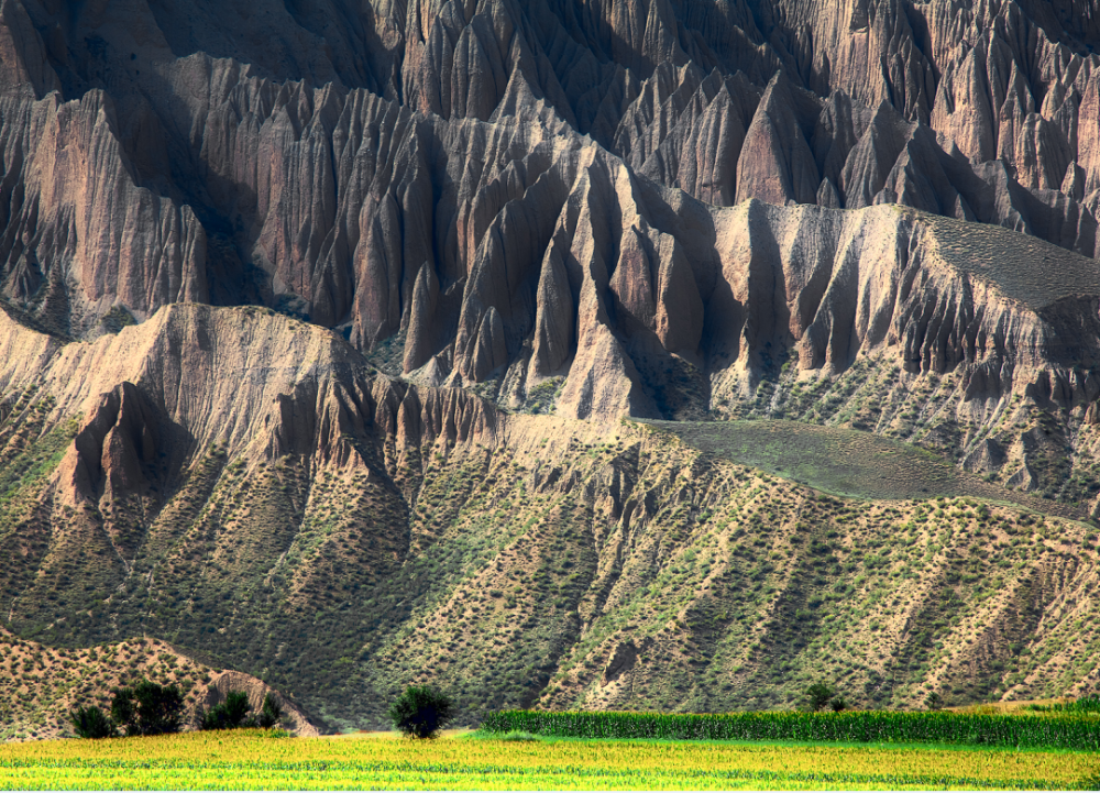 解锁宝藏石河子的"出圈密码"