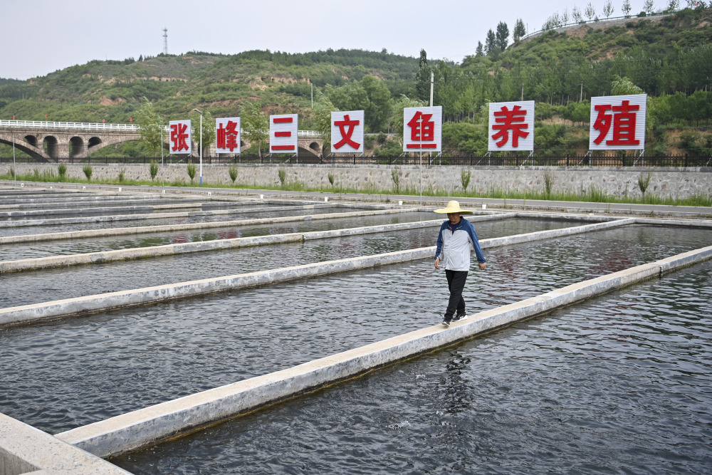 山区养殖什么比较赚钱(山区农村适合养殖什么)