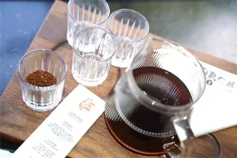 【普洱文旅】普洱暑期研学之旅 | 远山树林的味道——普洱精品咖啡