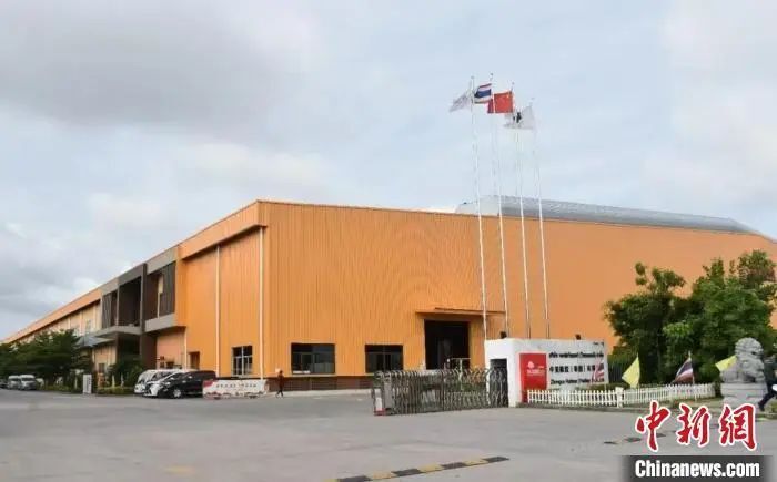 为什么宁静贴片这么贵聚焦浙里：中新社浙江新闻周报_https://www.jmylbn.com_新闻资讯_第15张