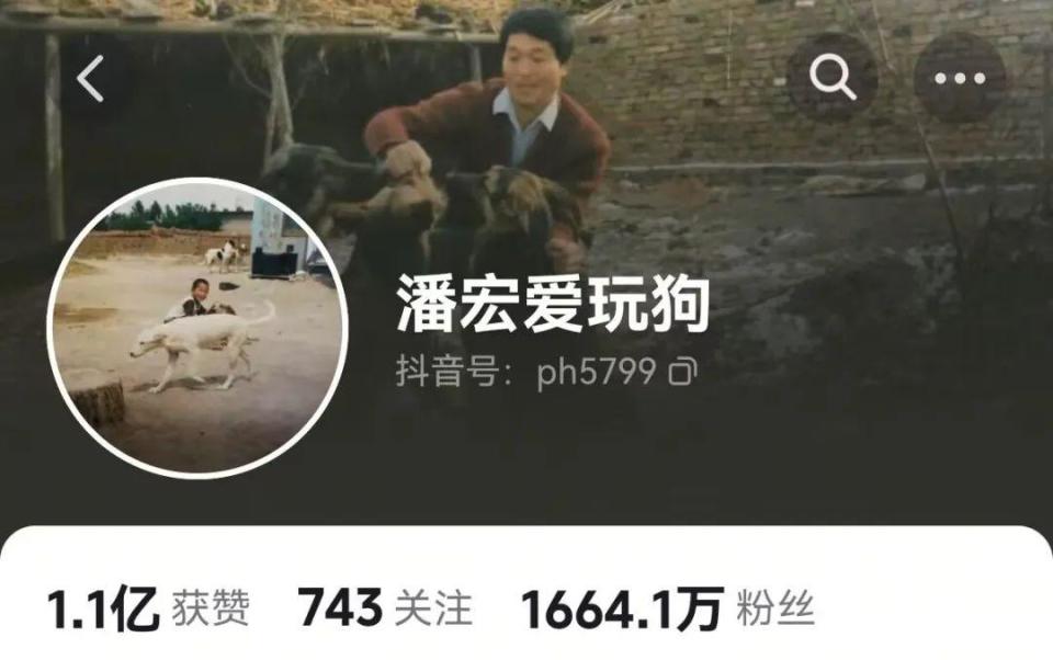 玩狗，训狗，虐狗，只有死狗才是好狗？_腾讯新闻
