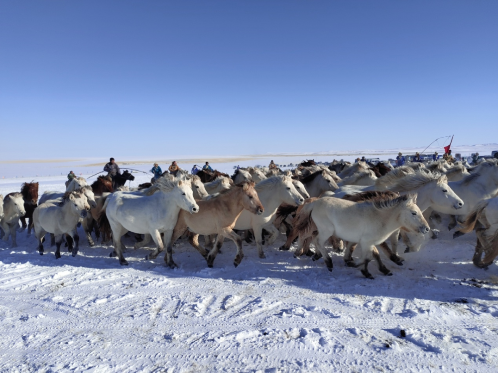 锡林郭勒盟冬季冰雪那达慕拉开帷幕