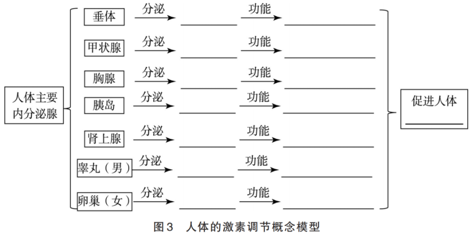 人体激素调节模式图图片