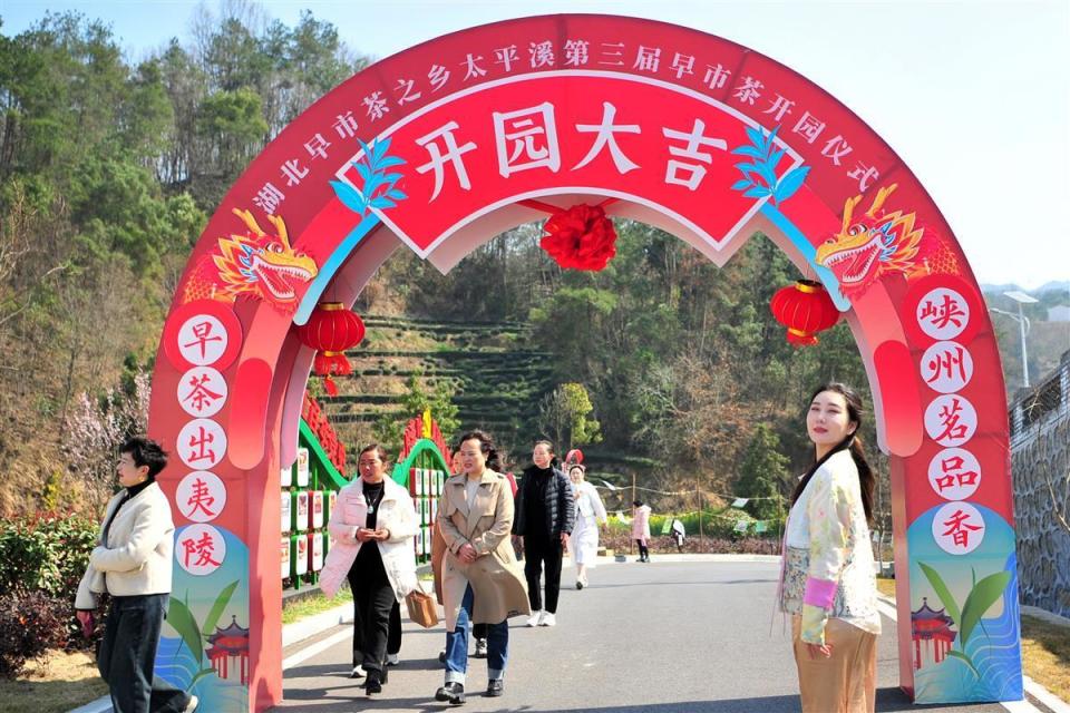 湖北早市茶之乡太平溪第三届早市茶开园