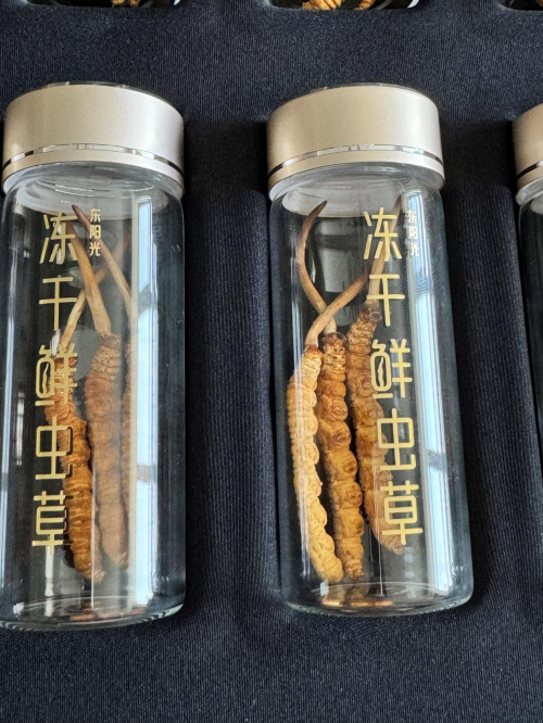 想养生还在纠结冬虫夏草的选择?东阳光鲜虫草让养生不再纠结!
