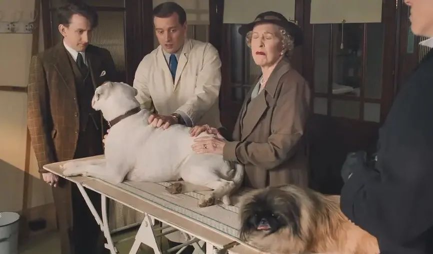 "虐猫"的现象能够连三接五地发生,暴露了社会"动物伦理"的普遍稀薄,也