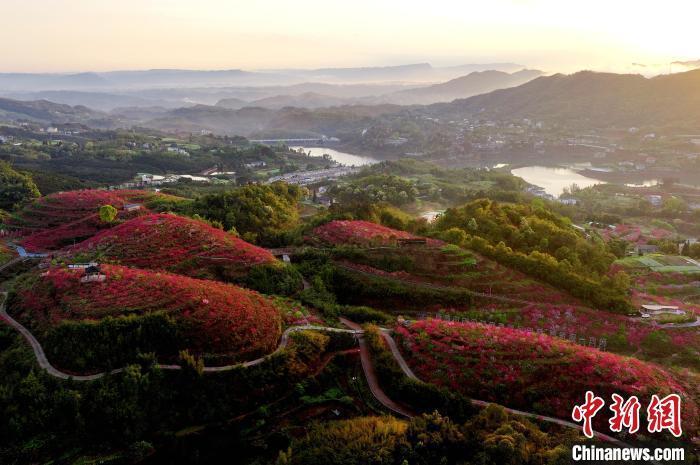 纳溪区旅游景点图片