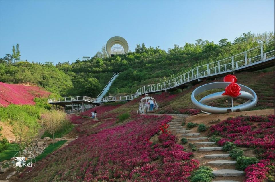 淄博宝藏溜娃线路来了,这个夏天快安排上