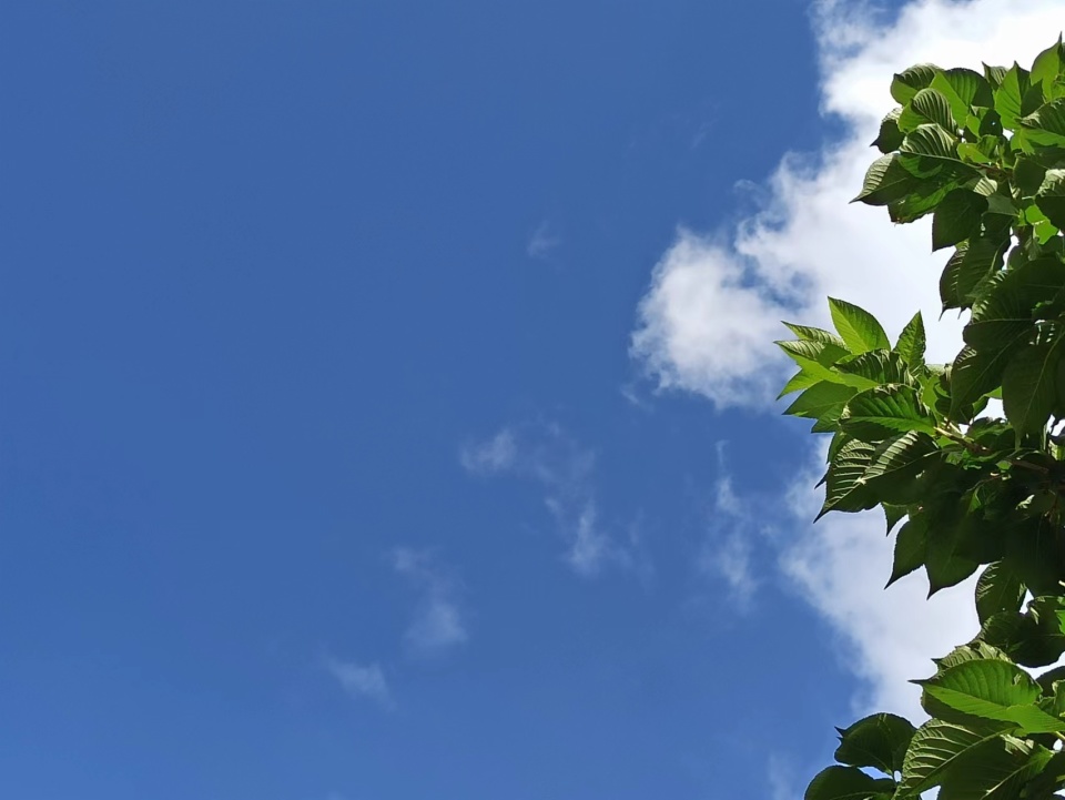 天空照片高清图片大全图片