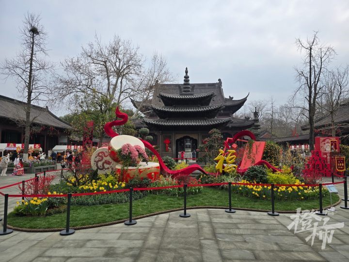 过年去钱王祠逛"花花世界"!2024年西湖迎春花展开幕