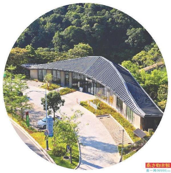 最美旅游公路“轻拨弦” 古榕树下写“文旅文章” “流量磁石”逐风踏浪_腾讯新闻
