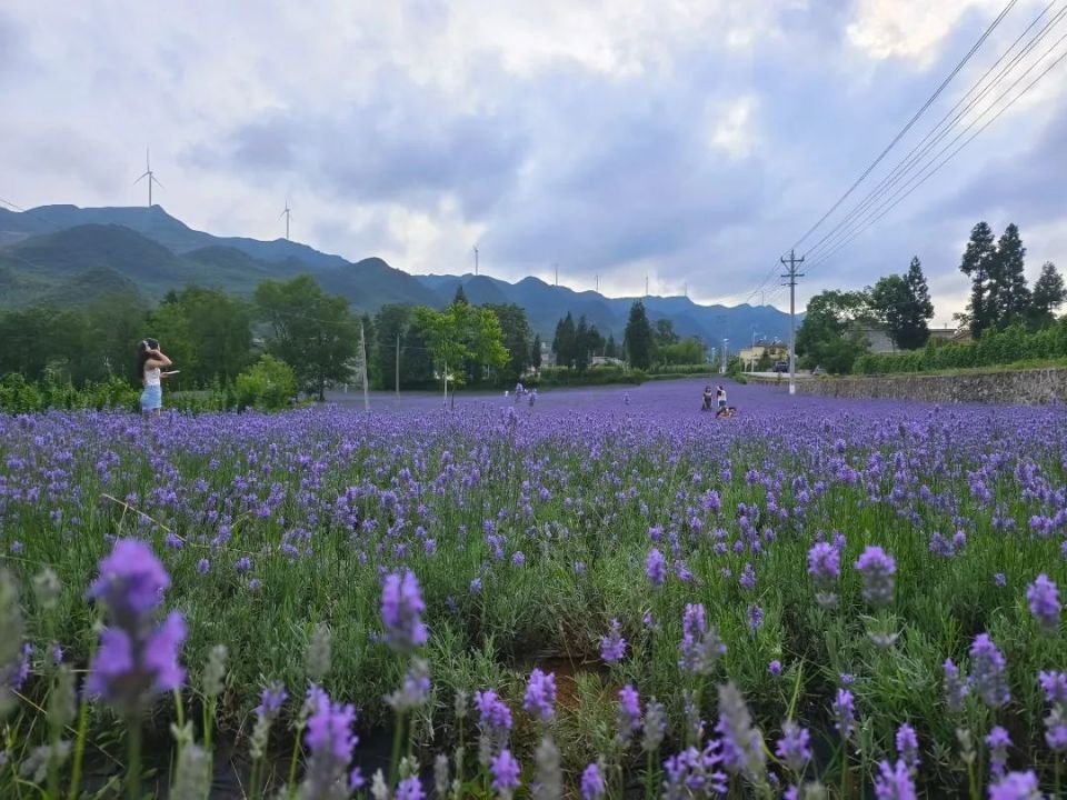 花开正好,等你来打卡!