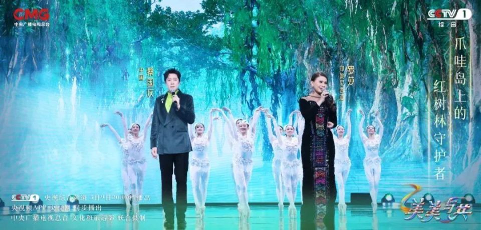 国产综艺出海之路:从"借船远航"到"开辟航线"