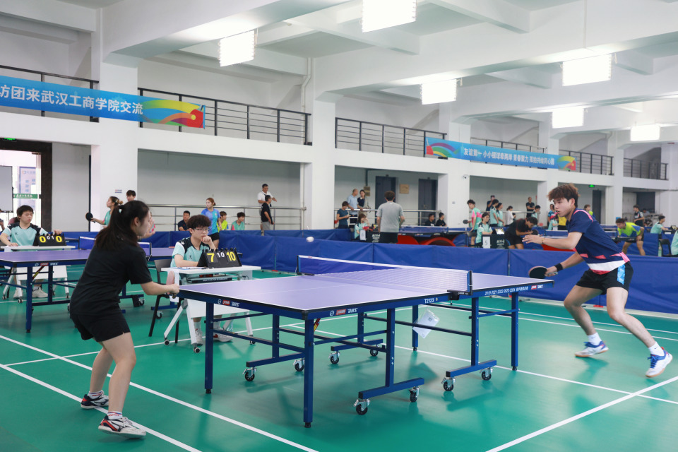 “乒”尽全力！鄂台青年乒乓球交流赛在武汉工商学院举行