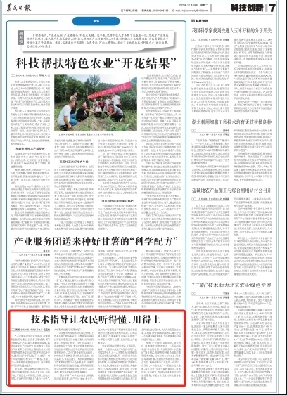 [南方生姜网-图片加载]