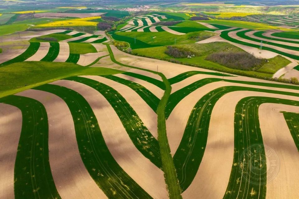 四位中国摄影师获提名,2024第十届fapa(风光组)获奖作品公布