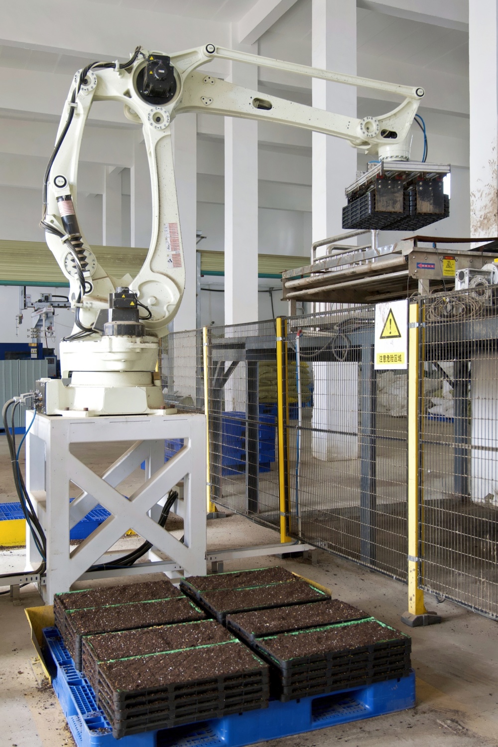 万象耕新2024丨探访全省最大育秧工厂,如何日产10万盘秧苗?