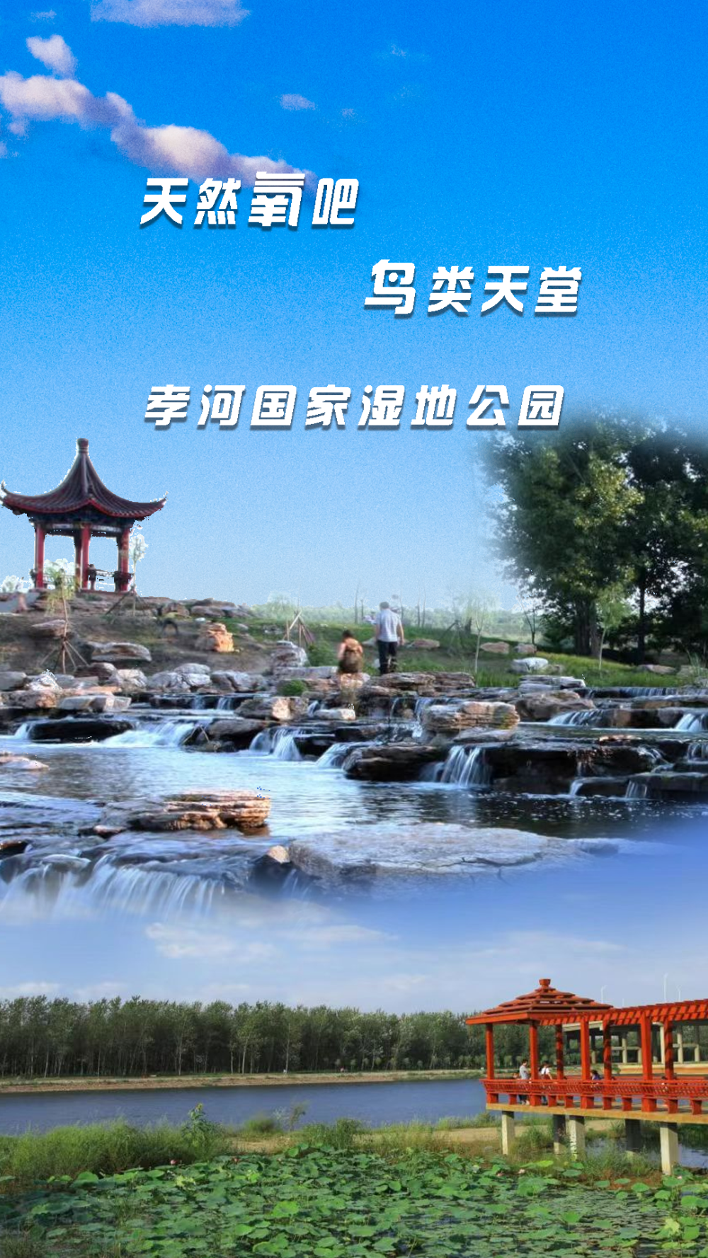 "天然氧吧 鸟类天堂"孝河国家湿地公园不虚此行会让你觉得孝义值得这