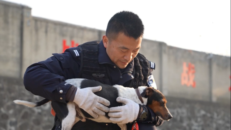 江苏警方发“警犬”啦！_腾讯新闻