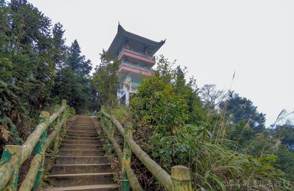 纳溪大山中这片竹海,是古代夜郎国的西南大门,竟比蜀南竹海还大_腾讯
