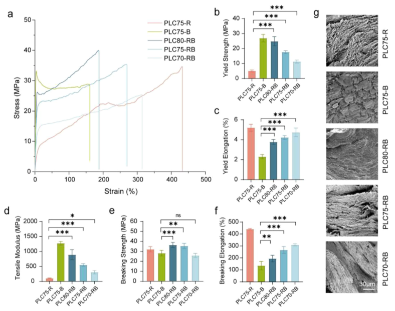 什么是可吸收夹四川大学何斌、成都大学高文霞AM：新型可降解共聚物为高性能组织结扎夹带来革新_https://www.jmylbn.com_新闻资讯_第7张