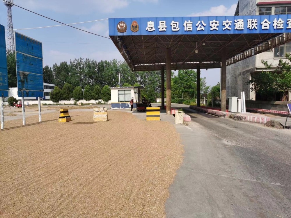 护航三夏丨公路超限检测站变身晒粮场