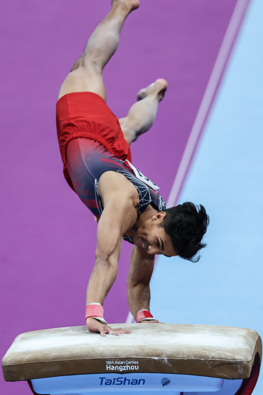 竞技体操——男子跳马决赛赛况