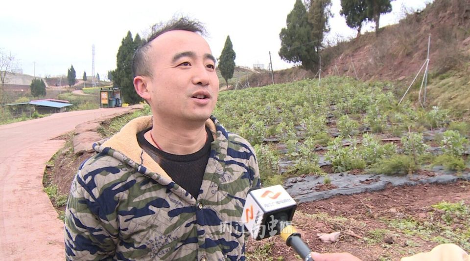 东兴区椑木镇游家坝村破解乡村振兴密码描绘和谐幸福画卷