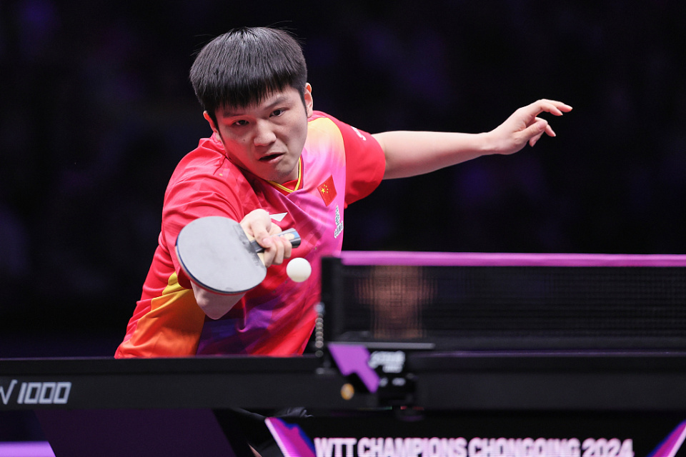 战术完克!樊振东打疯了,4-0打爆雨果,为梁靖崑报仇