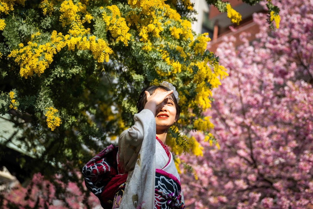 3月8日,在日本东京,一名女子在花树下拍照.新华社/法新