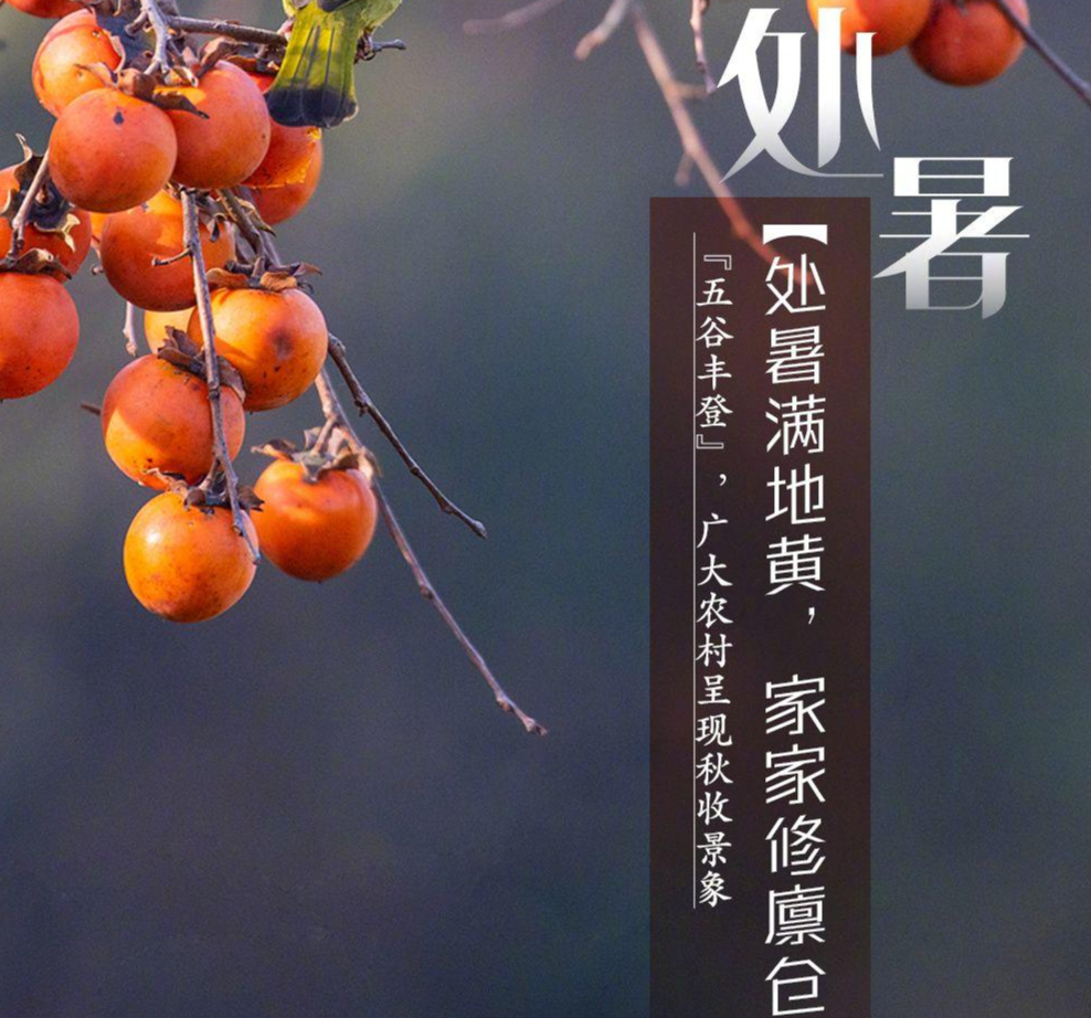 处暑｜最低调的节气“配角”，携一抹新凉助推夏秋交接_腾讯新闻