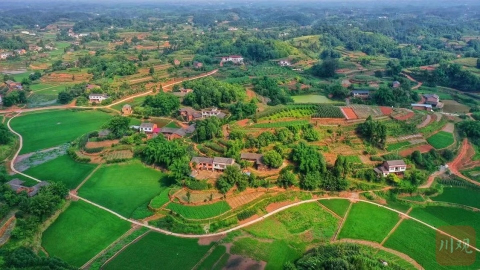宜宾市叙州区成功创建全省乡村振兴先进区