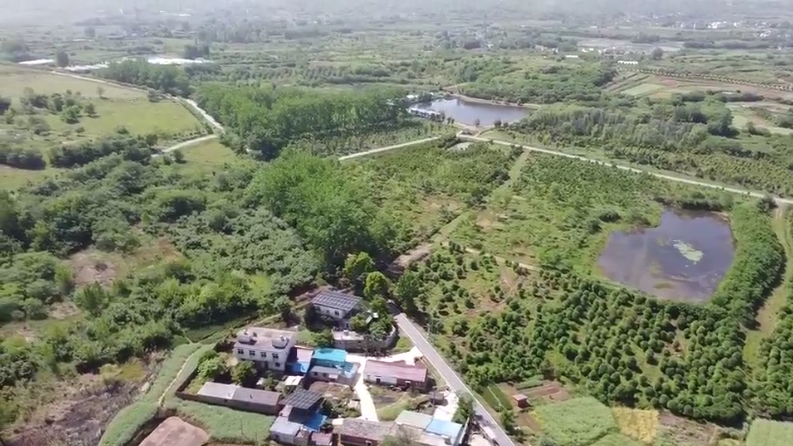 肥东八旬"王铁人",想找个老伴!