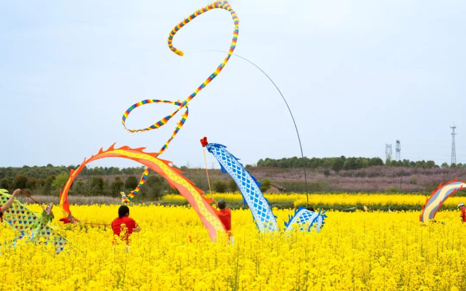 春日汉中超惊艳，精彩活动玩不停｜2026最美油菜花海游玩攻略（下）_腾讯新闻