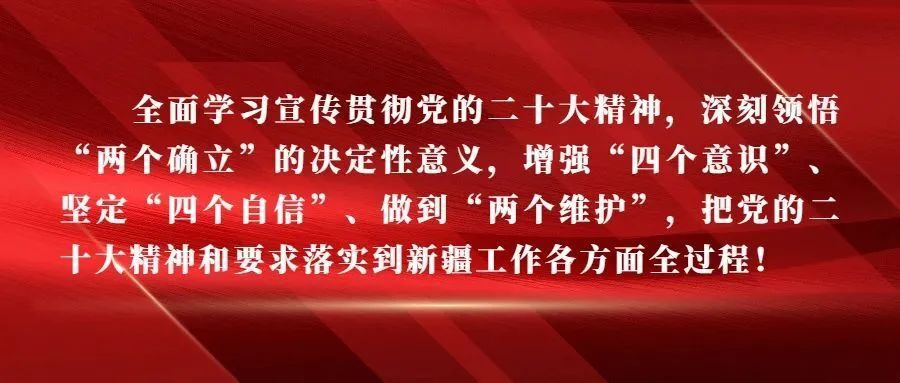 致昌吉市2023年高考考生的公开信-小默在职场