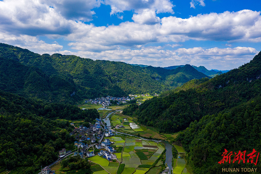 夏日田园  美景如画