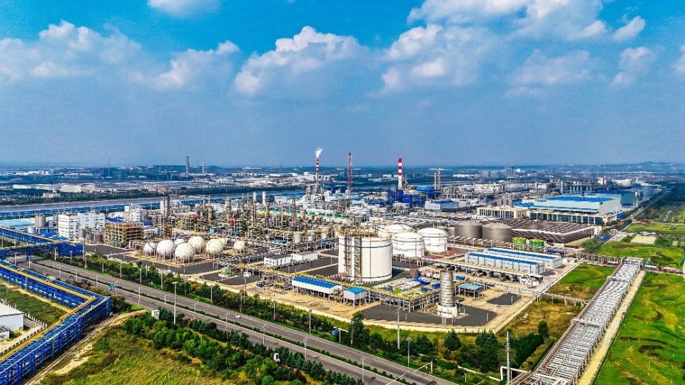 汇聚新质生产力培育新动能 青岛董家口经济区加快绿色低碳高质量发展